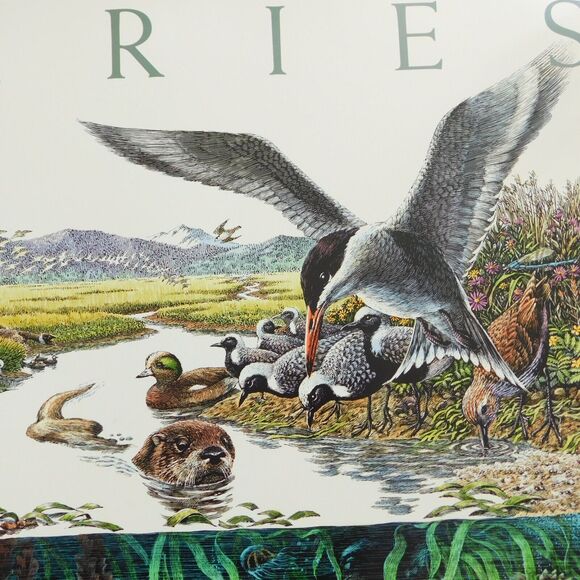 Vintage Art Poster 1995 Larry W. Duke, ESTUARIES 36x24 Nature Coastal NOAA NOS - Picture 11 of 15